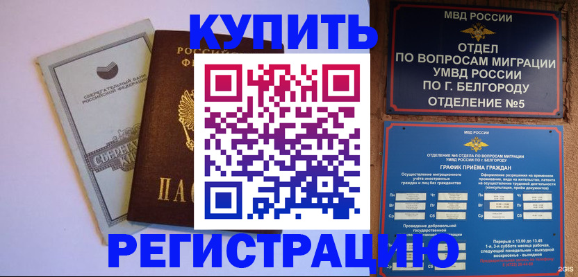 прописка гарантия в Мурино